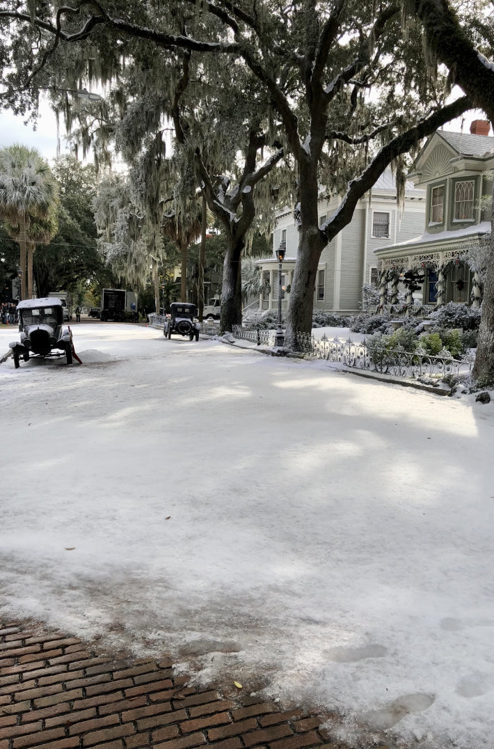 Contact Us For More Details On Special Snow Effects-Iceman LLC