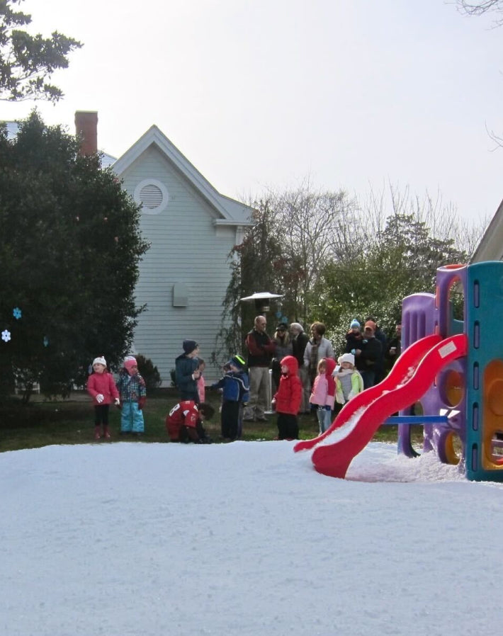 Ready to Get Started? Complete the Form to Connect with Our Snow Experts!-Iceman LLC